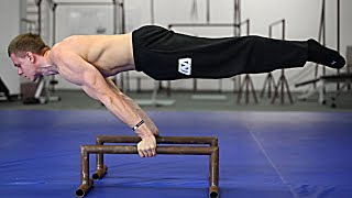 How To Planche  Beginner Tutorial [upl. by Livingstone621]