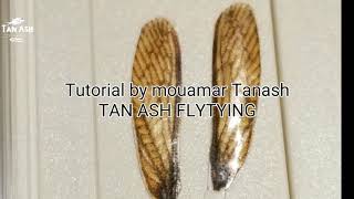 DIY realistic wings for any flies with smartphone and printer realistic fly tying [upl. by Tati209]