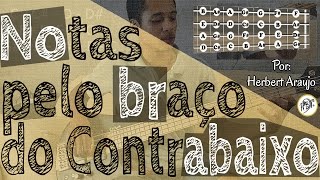 Notas pelo braço do contrabaixo Dica 5 HBT Bass [upl. by Cantlon]