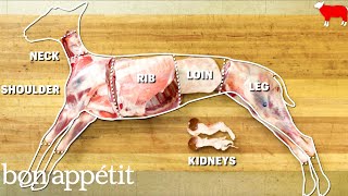 How to Butcher an Entire Lamb Every Cut of Meat Explained  Handcrafted  Bon Appetit [upl. by Treblig]