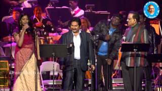 Botany Patamundhi Song  SP Balasubramanyam LIVE Performance  Maestro Ilaiyaraaja Music Concert [upl. by Ilatfan414]