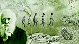 Evolution  What Darwin Never Knew  NOVA Full Documentary HD [upl. by Onitnevuj]