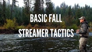 Basic Streamer Fly Fishing Tactics for Trout in the Fall [upl. by Cristen]