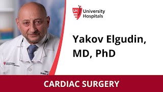 Yakov Elgudin MD PhD  Cardiac Surgery [upl. by Sakram313]