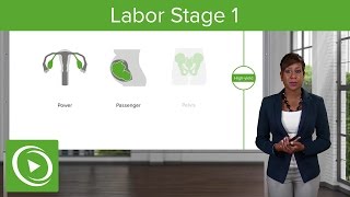 Stages of Labor Part 2 EBB Crash Course [upl. by Wyn]