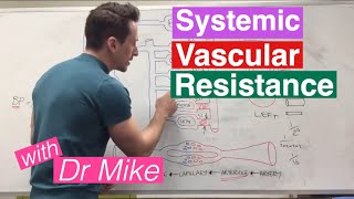 Systemic Vascular Resistance Total Peripheral Resistance  Cardiology [upl. by Nairdna]