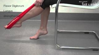 BFAAC Flexor Digitorum Longus Strengthening [upl. by Etac]