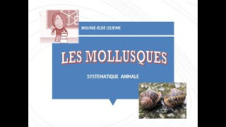 Mollusques [upl. by Yawnoc]