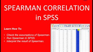 Spearman Correlation SPSS StepByStep Guide [upl. by Vinson]