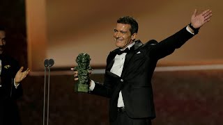 Antonio Banderas Goya 2020 a Mejor Actor Protagonista por Dolor y gloria [upl. by Harriette]