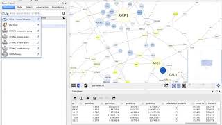 Identifier Mapping in Cytoscape [upl. by Adlemy]