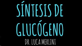 Síntesis de Glucógeno [upl. by Ecinahc458]