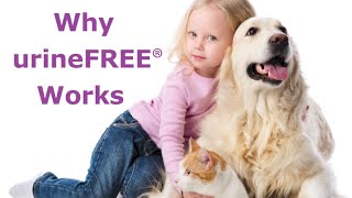 Why urineFREE Works Removing Urine Odours and Stains [upl. by Miquela]