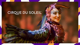 LUZIA  FIESTA FINALE  Official Music Video  Cirque du Soleil [upl. by Autumn]