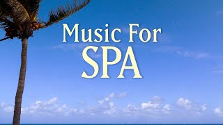 8 HOURS SPA MUSIC PLAYLIST  Healing Arts Massage amp Meditation  with Earth Resonance Frequency [upl. by Novihs]