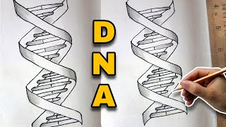 DNA Helix Diagram Drawing [upl. by Oberstone]