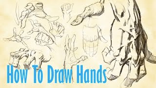 How To Draw HANDS [upl. by Regor174]