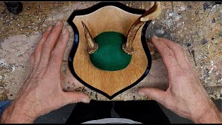 DIY How To Make an Antler Plaque [upl. by Trautman]