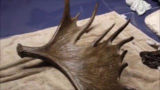 Restoring Giant Moose Sheds [upl. by Zubkoff]