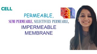 PermeableSemi PermeableSelectively PermeableImpermeable MembraneDifferenceCell [upl. by Loria]