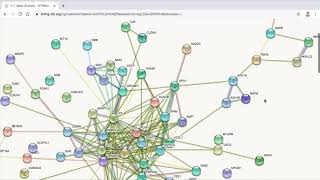 Proteinprotein Interaction Network Analysis using STRING [upl. by Deny424]