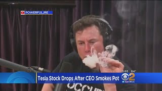 Elon Musk Smokes Pot In Joe Rogan Interview Telsa Shares Tumble [upl. by Lennaj583]