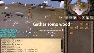 Fastest way to hunt sabretoothkebbits 1MG Runescape 2007 OSRS [upl. by Apul]