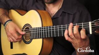 Cordoba Guitars  F10 Flamenco [upl. by Nannek]