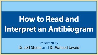 How to Read and Interpret an Antibiogram [upl. by Terris458]