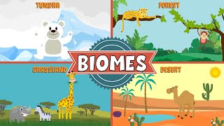 Biomes of the World  Types of Biomes  Video for Kids [upl. by Chadburn397]