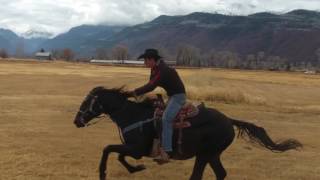 Horse Riding in Slow Motion [upl. by Car]