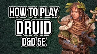 HOW TO PLAY DRUID [upl. by Grizel]