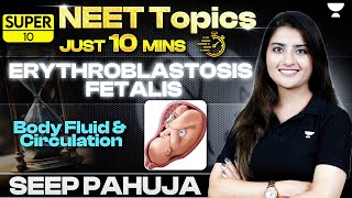 Erythroblastosis Fetalis  Body Fluids amp Circulation  NEET Biology  Seep Pahuja [upl. by Wallie129]