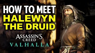 Druids Cottage Location amp How to Meet Halewyn the Druid  Clues amp Riddles  AC Valhalla [upl. by Ymma377]