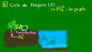 Ciclo do Fósforo  Ecologia  Biologia [upl. by Yrrok]