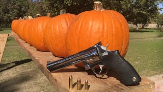 357 MAGNUM VS 45 ACP VS 9MM VS PUMPKIN [upl. by Omocaig]