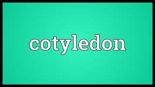 Cotyledon Meaning [upl. by Lehcin]