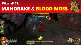 Wizard101 Easily Find Red Mandrakes and Blood Moss [upl. by Giule174]