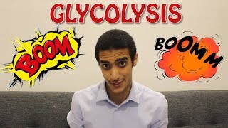 Glycolysis Step by Step شرح بالعربي [upl. by Marsiella]