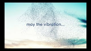 Emiliano Toso 432Hz Videoclip from Love Seeds Music for cells nature connection healing [upl. by Mead]