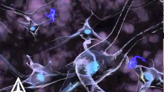 How Neurotransmission amp brain signals work  3D animation [upl. by Ehtyaf]