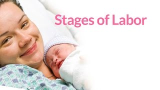 EARLY LABOR and the MUCUS PLUG  The Phases of Labor  Part 1  Birth Doula [upl. by Lewap]