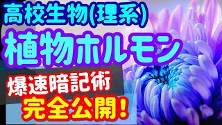 【高校生物62】【植物ホルモンの分類】を宇宙一わかりやすく [upl. by Gearhart]