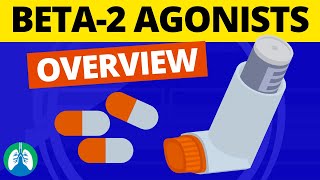 Beta2 Adrenergic Agonists Medications OVERVIEW  Bronchodilators [upl. by Sibyl378]