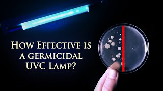 UVC Light or Ozone as a Disinfectant [upl. by Hserus380]