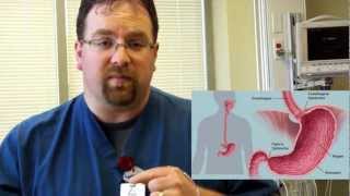 Esophageal Manometry Demonstration [upl. by Eliathas700]