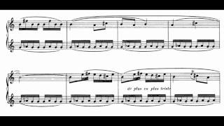 Poulenc  Sonata for Two Clarinets [upl. by Colt]