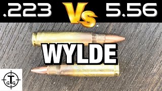 Can I run a 556 in a 223 Wylde Rifle Safely [upl. by Bolten]