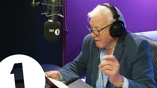 Sir David Attenborough narrates Adeles Hello [upl. by Crudden]