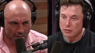 Joe Rogan  What Keeps Elon Musk Up at Night [upl. by Eiddal75]